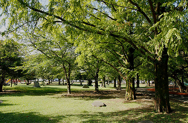 山王公園image