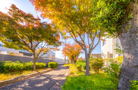 東光寺緑地image