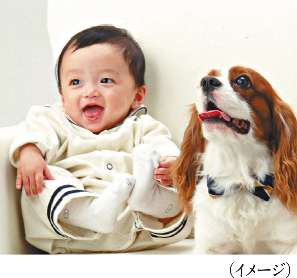 ホルムアルデヒド対策