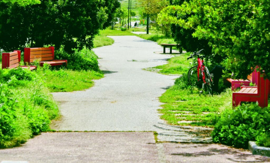 公園