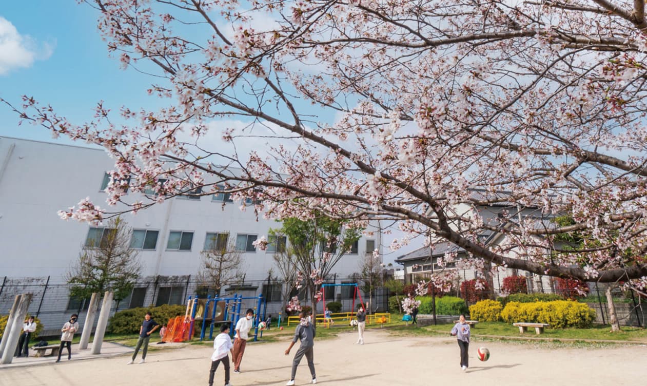 板付中公園