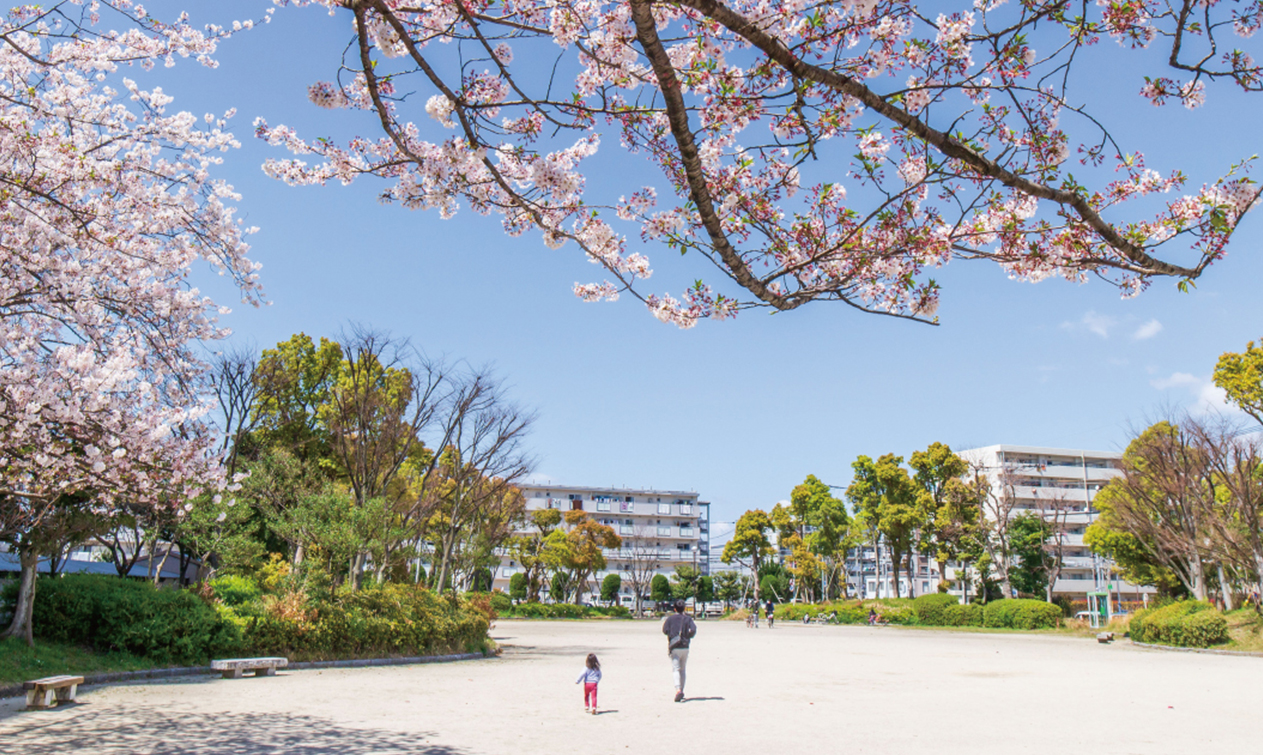 公園写真