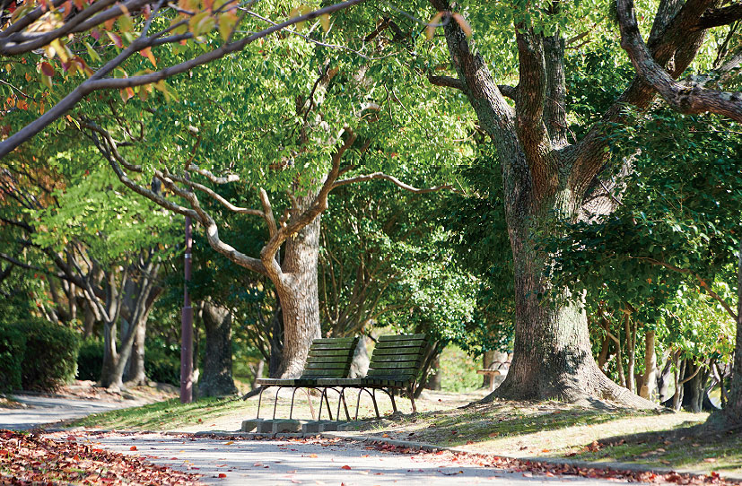 箱崎公園image